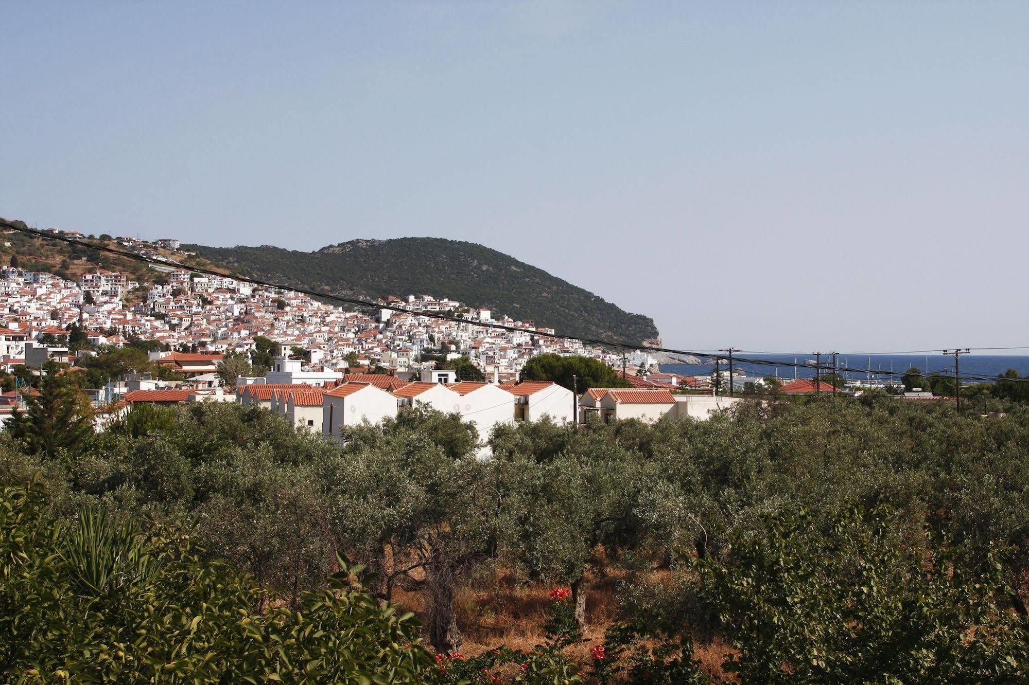 Rastoni Guest House Skopelos Esterno foto